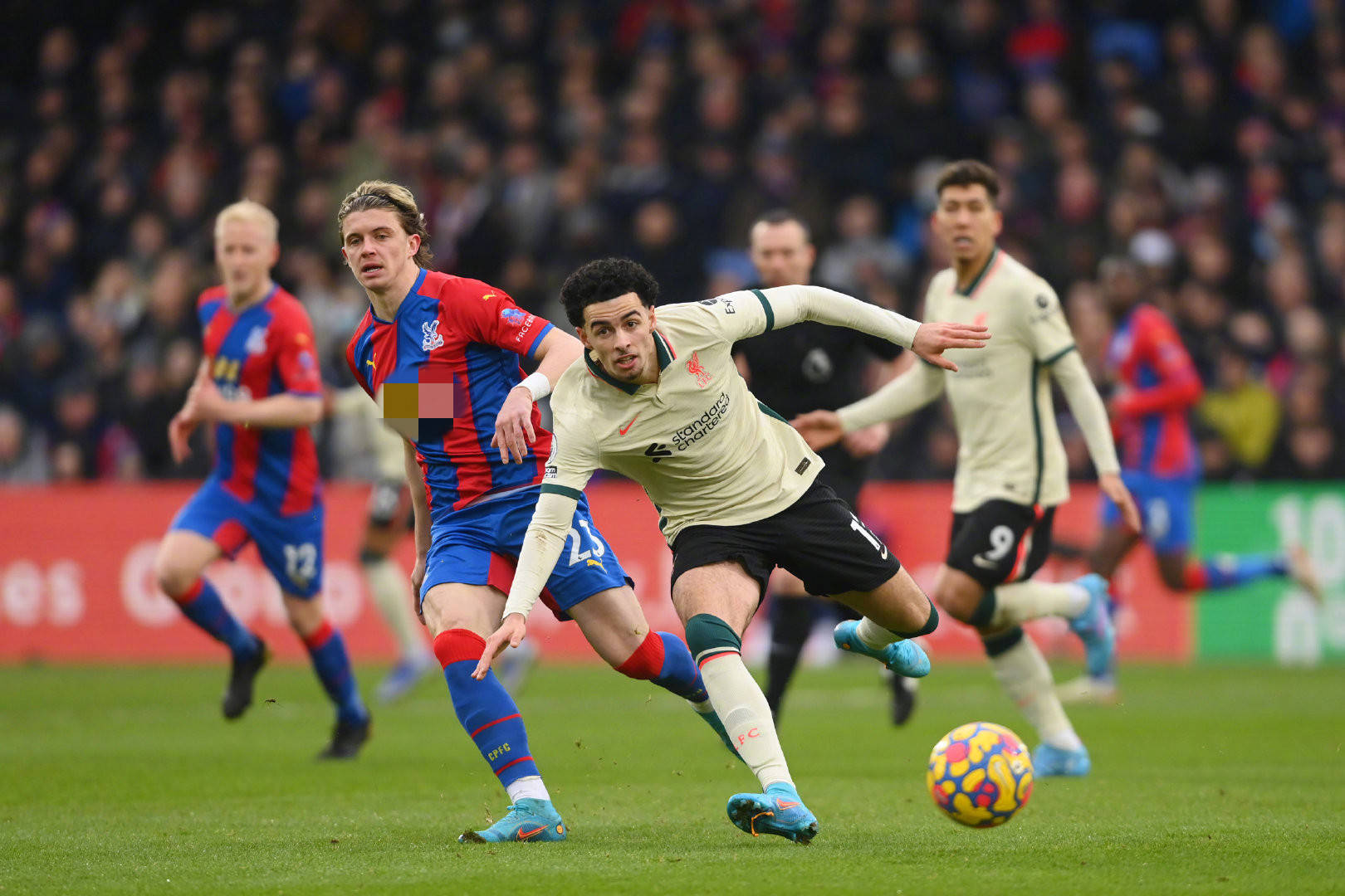 他真正成为 他真正成为