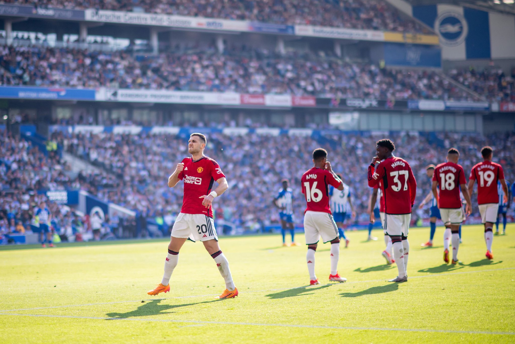 沙场的老将 沙场的老将